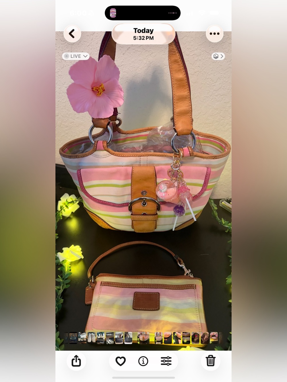 Coach Striped Hobo Tote Bag with matching wristlet comes with charms
